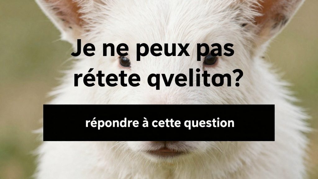Comment fonctionne le fichier I-CAD ?