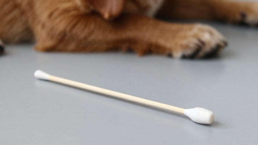 O que nunca usar no ouvido do cão