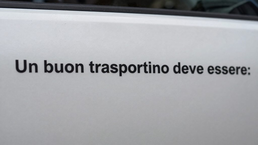 Come deve essere il trasportino?